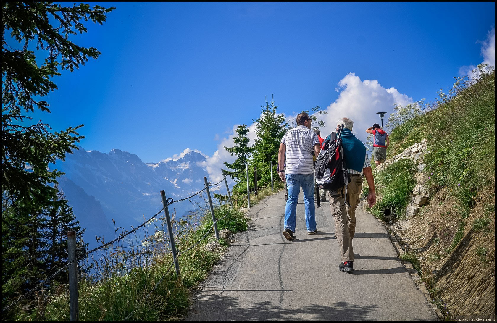 Schynige Platte (Wilderswil)